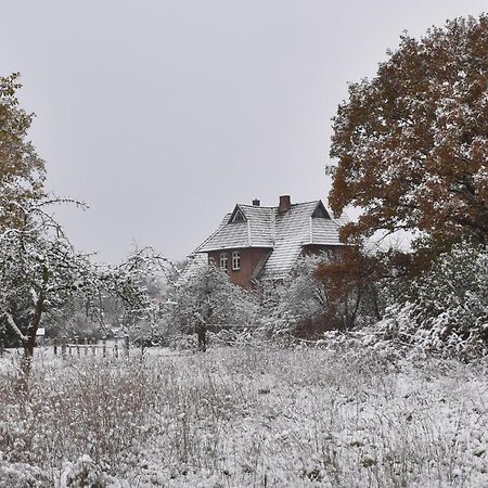 Ferienwohnung Ehemalige Revierfoersterei "Uns Luett" Kuhstorf 외부 사진