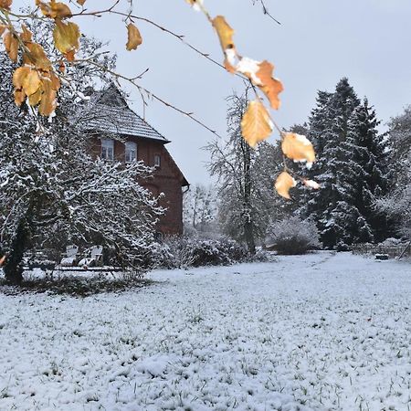 Ferienwohnung Ehemalige Revierfoersterei "Uns Luett" Kuhstorf 외부 사진
