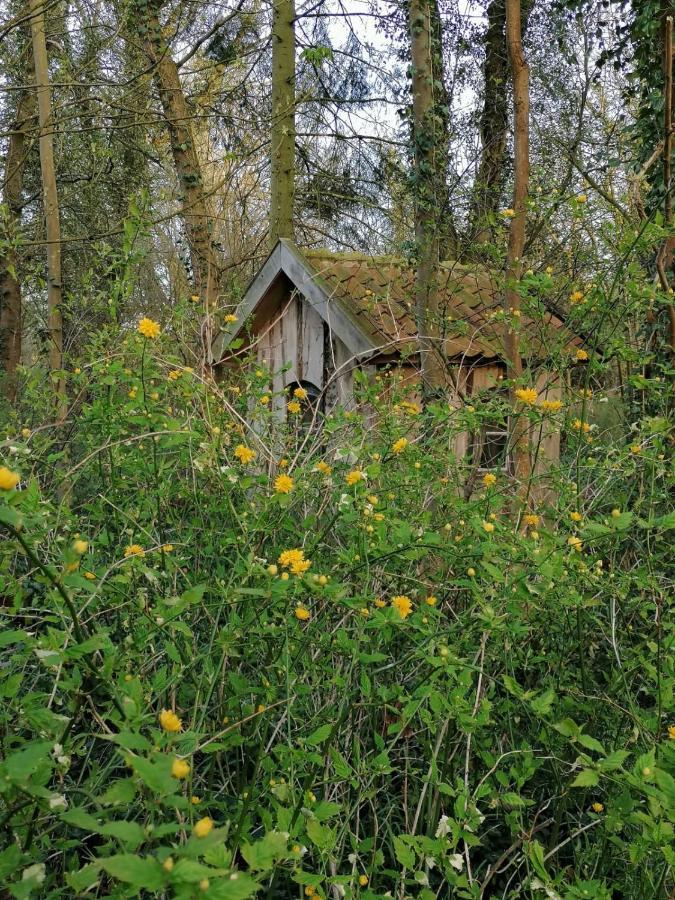 Ferienwohnung Ehemalige Revierfoersterei "Uns Luett" Kuhstorf 외부 사진